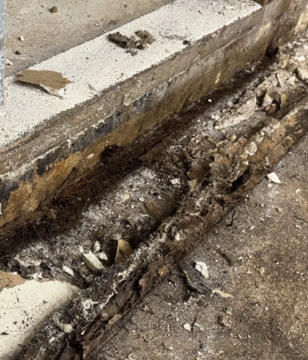 mold inspection